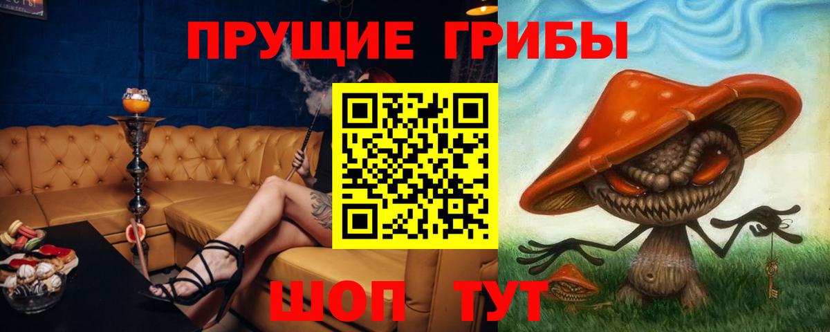 Псилоцибиновые грибы Psilocybine cubensis Туапсе