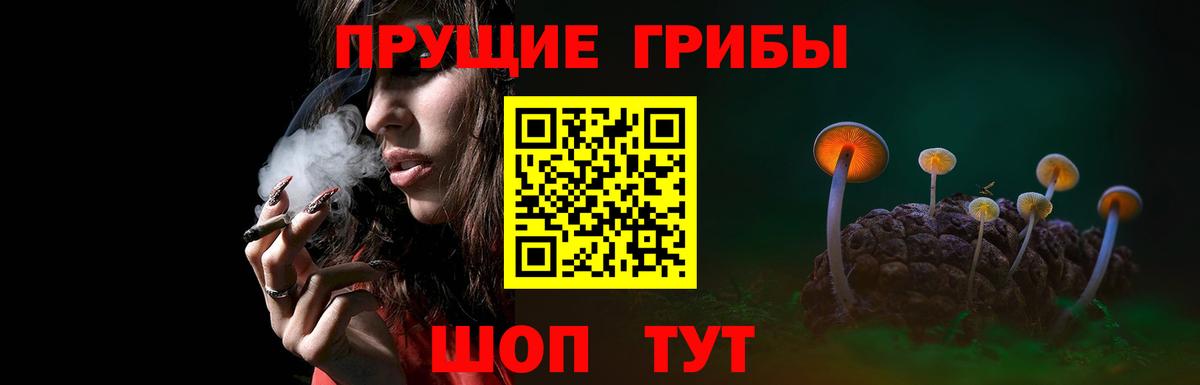 Галлюциногенные грибы GOLDEN TEACHER  Вход с VPN  Туапсе  Псилоцибиновые грибы GOLDEN TEACHER 